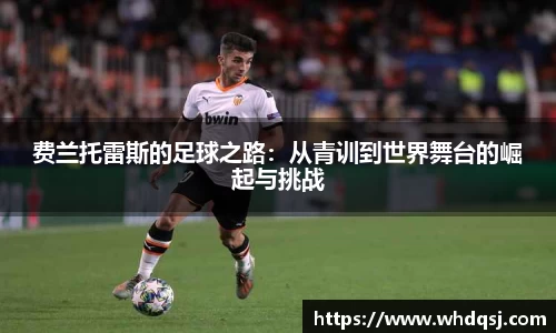 费兰托雷斯的足球之路：从青训到世界舞台的崛起与挑战